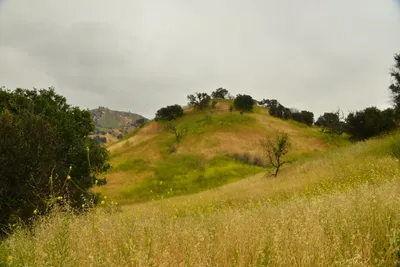 DSC_6506 (Large).JPG